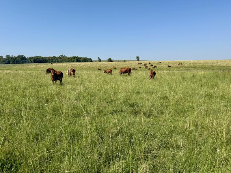 0 Bedroom Property for Sale in Bethlehem Rural Free State